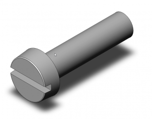 Vis axe renfort H100 