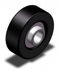 Galet Avec Bague Intérieure Umrw 25 